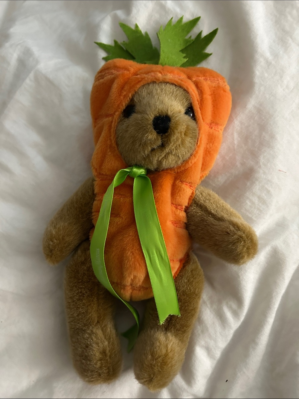 Boyd bear…Plush Bear in Orange Carrot Costume with Green Ribbon